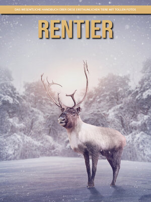 cover image of Rentier